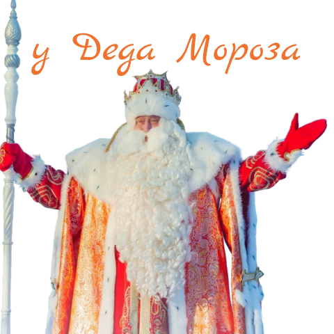 Благотворительный проект «В гостях у Деда Мороза в Великом Устюге»