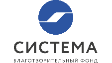 система