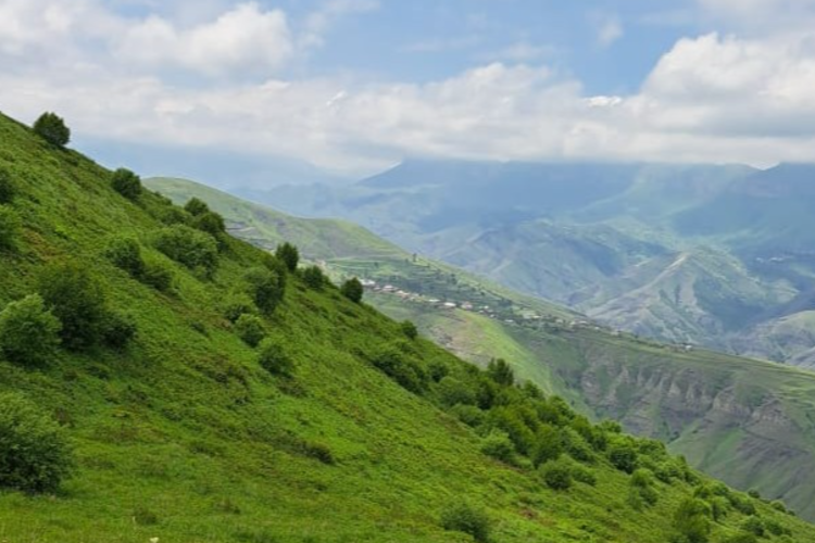 Благотворительный фонд «Система» и МТС открыли сбор средств для пострадавших от наводнения жителей Дагестана