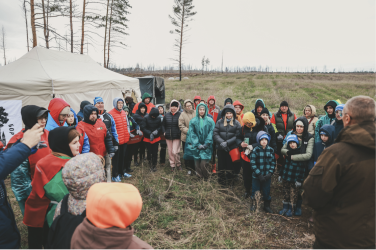 Более 4000 сеянцев сосны высадили волонтеры на территории национального парка «Бузулукский бор» в Самарской области 